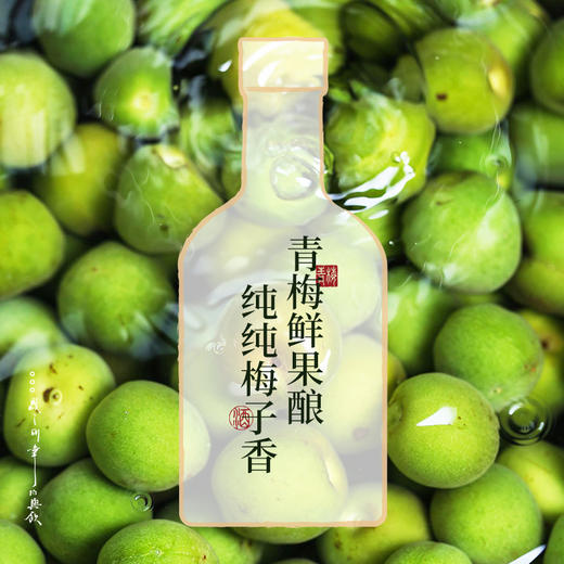 梅花乡 岁幸青梅酒礼盒 375ml*2+日式酒杯*2 商品图5