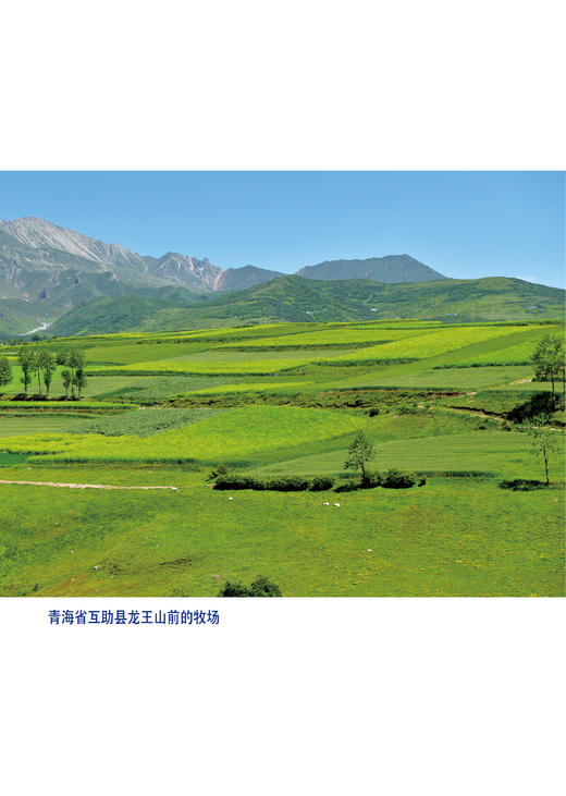 威士忌入门必备  休闲读品2023年第一期 商品图1