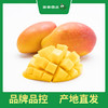 百果园 树上熟贵妃芒4.5斤礼盒装 商品缩略图2