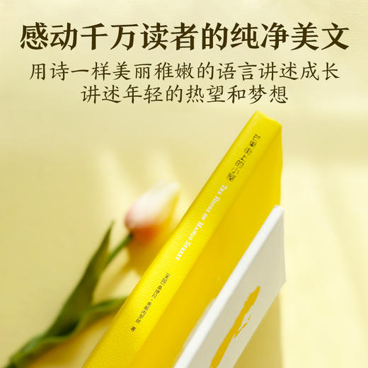 芒果街上的小屋（诗歌与小说的混血文字，梦幻插图点缀精灵之书，讲述成长、希望和梦想） 商品图1