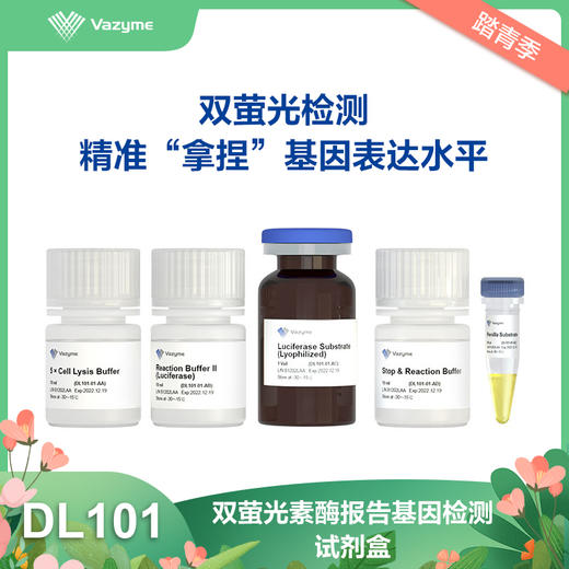 Dual Luciferase Reporter Assay Kit 商品图0