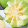 【产地直发】海南奶油芭乐 白心番石榴3/5/8斤精选-GP 商品缩略图5
