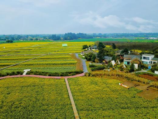 【邛崃-112号院】4房、5房、6房小院，油菜花、稻田民宿，床多，设计感超强。dx 商品图6