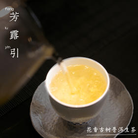 芳露引 一喝就懂入门古树普洱生茶 花香兰香蜜香200g饼 2020年