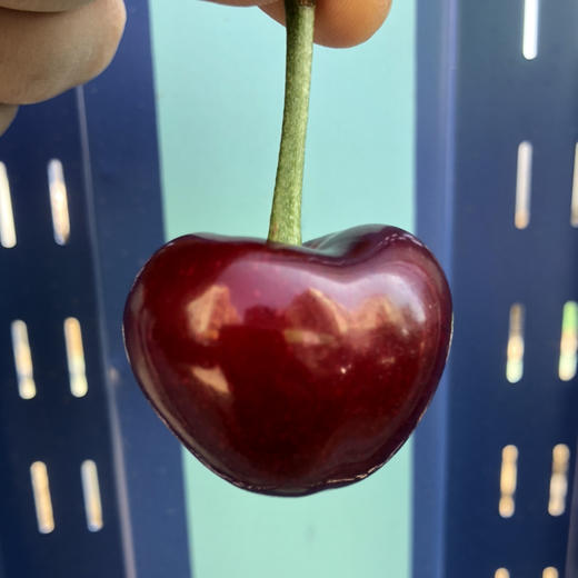 小苹果大樱桃🍒新鲜到，每一个都很新鲜，鲜嫩欲滴，颗颗爆汁鲜甜 商品图14