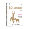 SQL进阶教程（第2版）SQL基础教程数据库编程SQL*知*会面向集合关系数据库sql语言数据库原理与应用*教程书籍 商品缩略图1