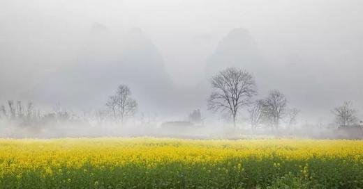 广西春季花海：恭城春季赏花、相公山 海菜花 思美瀑布3天-5天 商品图7