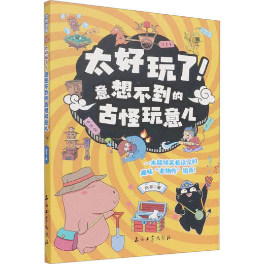 太好玩了! 意想不到的古怪玩意儿 商品图0