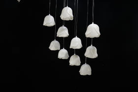 10头白玫瑰吊灯串（运费自理）