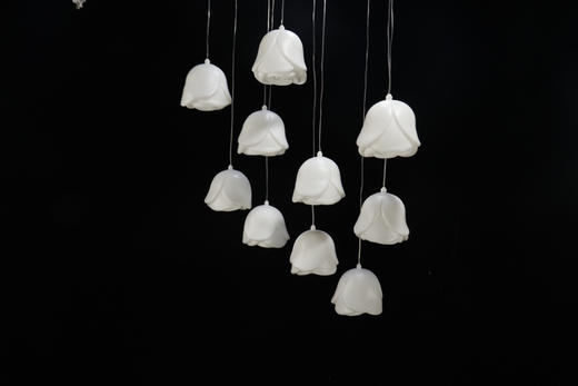 10头白玫瑰吊灯串（运费自理） 商品图0