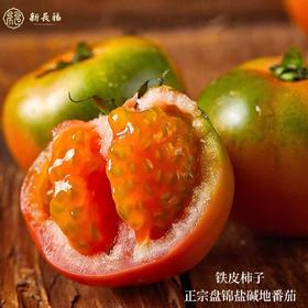 铁皮西红柿  正宗盘锦盐碱地番茄