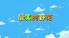 2018年3月 最美的野花 商品缩略图0