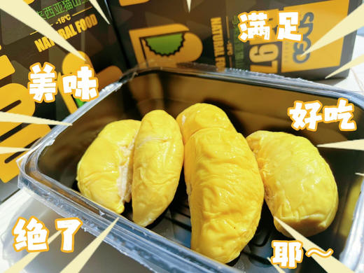 D197猫山王榴莲肉 商品图0