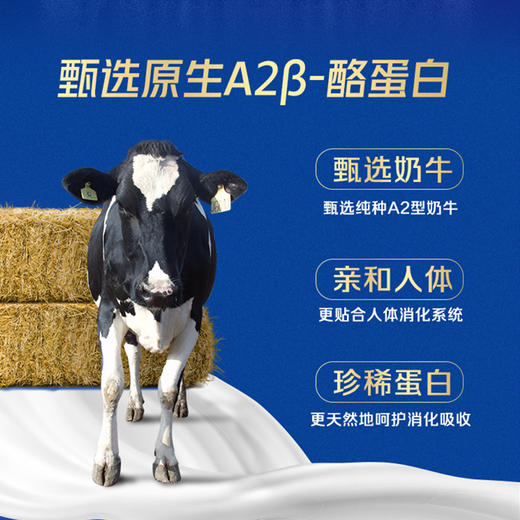 【快递到家-常温】1+1原生双蛋白纯牛奶 250ml*12盒 商品图9