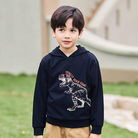 mettekids男童卫衣儿童春季新款连帽帅气童装中大童卡通恐龙上衣
