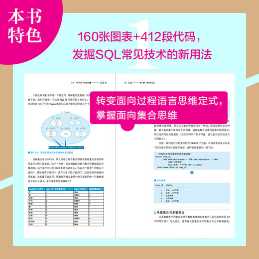 SQL进阶教程（第2版）SQL基础教程数据库编程SQL*知*会面向集合关系数据库sql语言数据库原理与应用*教程书籍 商品图2