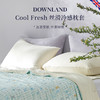 DOWNLAND 丝滑冷感枕套单个装 [福利品] 商品缩略图0