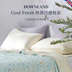 DOWNLAND 丝滑冷感枕套单个装 [福利品]