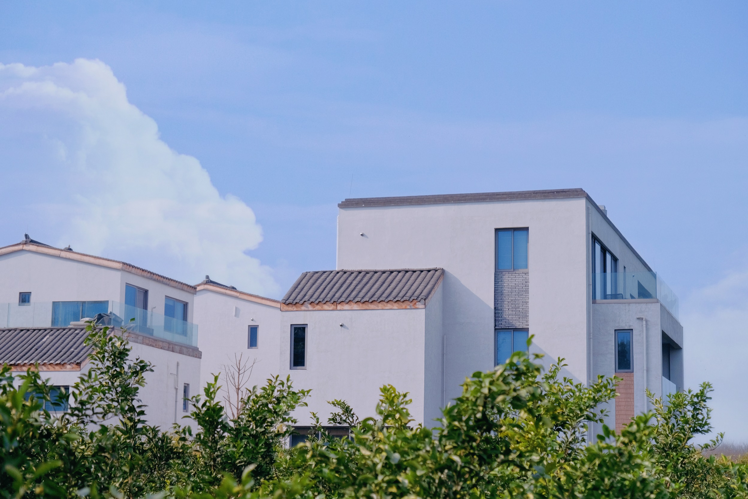 【邛崃-112号院】4房、5房、6房小院，油菜花、稻田民宿，床多，设计感超强。dx