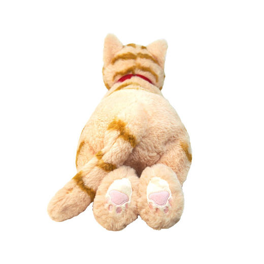 SunLemon 美国短毛猫（米色中号）SUNCP1812玩偶 商品图1