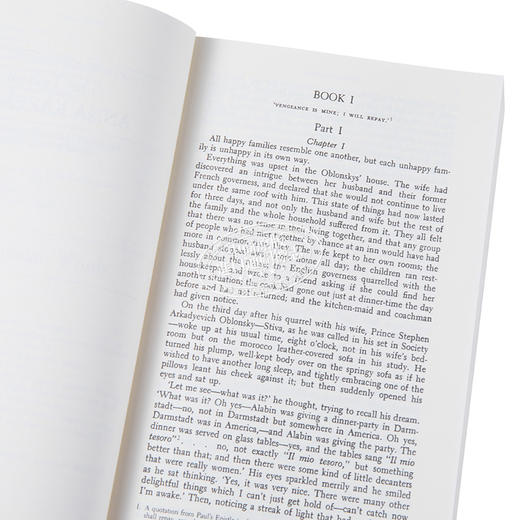 【中商原版】安娜 卡列尼娜 诺顿文学解读系列 英文原版 Norton Critical Editions: Anna Karenina Leo Tolstoy 商品图3