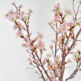 配花-樱花-粉色-2支