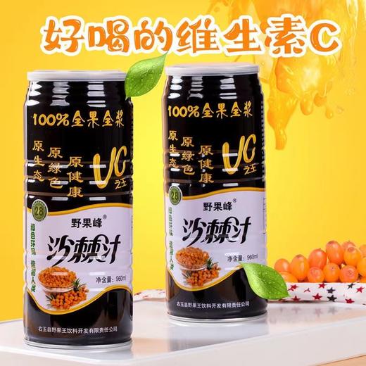 【野果峰】沙棘汁960ml*6罐/箱 鲜果鲜榨营养更全面 商品图0