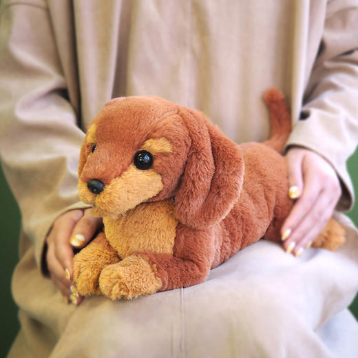 SunLemon 腊肠犬SUNCP7672玩偶 商品图3