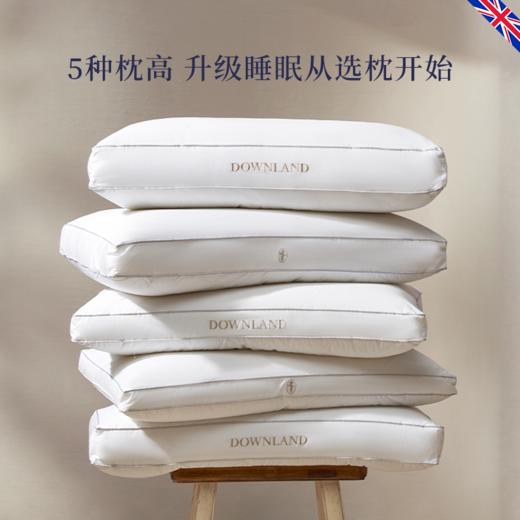 DOWNLAND 2023新款Hypnos睡神轻白鹅绒复合枕头 成人助睡眠护颈椎枕芯[福利品] 商品图2