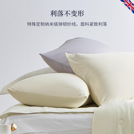 DOWNLAND 丝滑冷感枕套单个装 [福利品] 商品图4