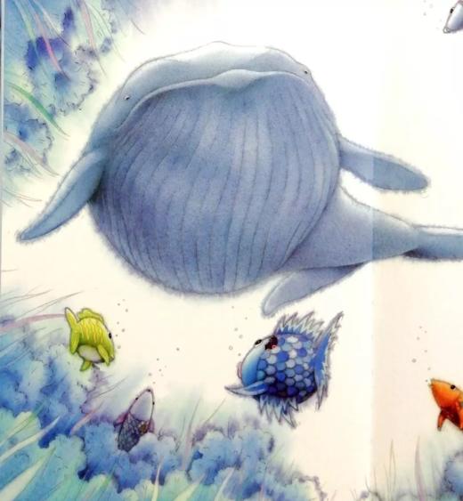 彩虹鱼和大鲸鱼 商品图0