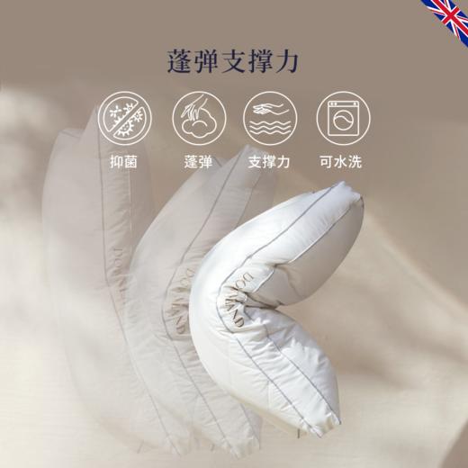 DOWNLAND 2023新款Hypnos睡神轻白鹅绒复合枕头 成人助睡眠护颈椎枕芯[福利品] 商品图4
