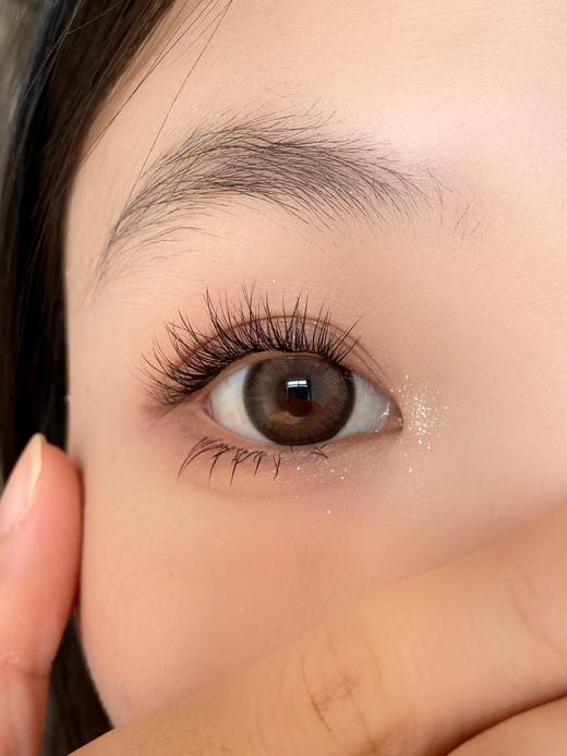 sugarplum糖豆 泰式千金 棕 14.5mm 年抛 含硅水凝胶 商品图9