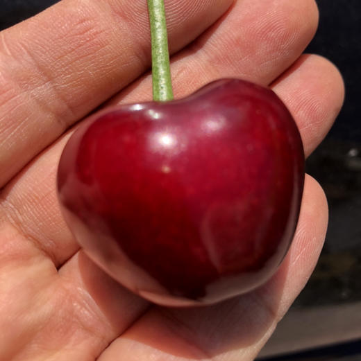 小苹果大樱桃🍒新鲜到，每一个都很新鲜，鲜嫩欲滴，颗颗爆汁鲜甜 商品图13