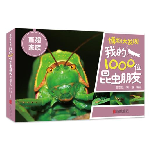 博物大发现：我的1000位昆虫朋友（全5册） 商品图3