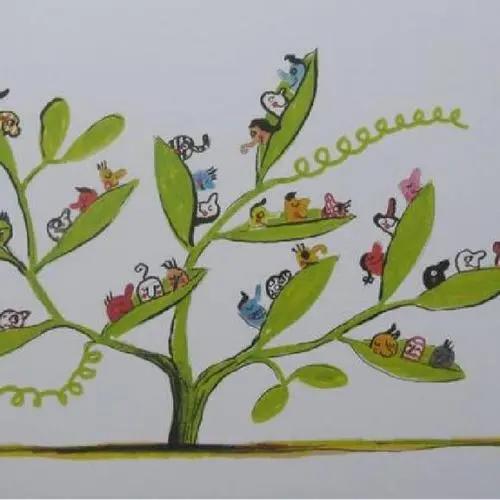 不一样的小豆豆 商品图0