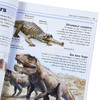 【中商原版】DK目击者口袋系列 恐龙	Pocket Eyewitness Dinosaurs	英文原版 DK百科 史前世界 恐龙指南 商品缩略图3