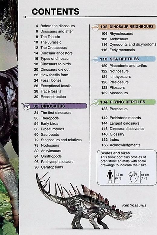 【中商原版】DK目击者口袋系列 恐龙	Pocket Eyewitness Dinosaurs	英文原版 DK百科 史前世界 恐龙指南 商品图5