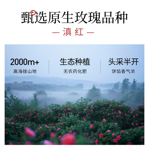 野选玫瑰饼云南鲜花饼酥皮现烤现发0添加 15-30天发货【年后恢复发货】 商品图2