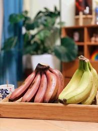 【有机香蕉】黄蕉 红蕉 |  口感软糯细腻，产地直发 | 需要在家催熟