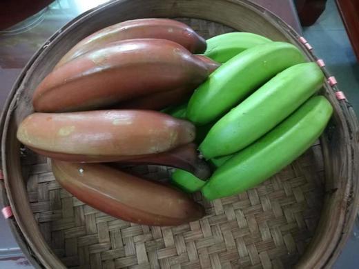 【有机香蕉】黄蕉 红蕉 |  口感软糯细腻，产地直发 | 需要在家催熟 商品图1
