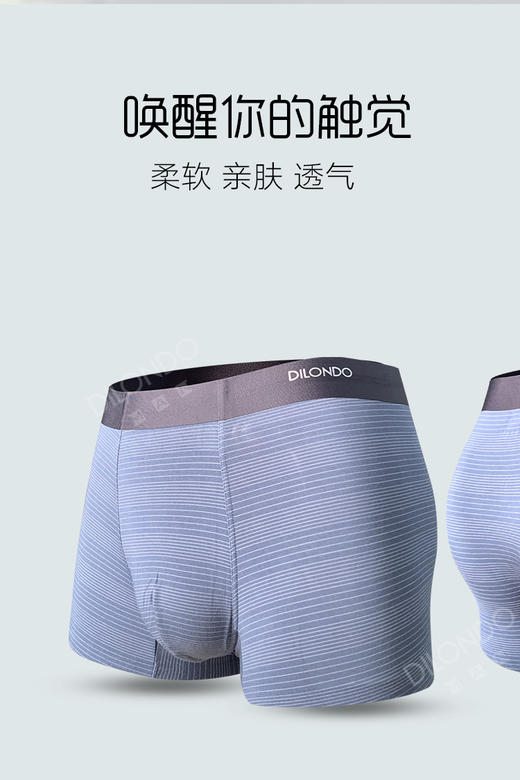 迪兰多精品男士内裤80支兰精莫代尔棉超舒适透气22903702 商品图5