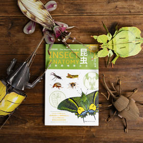 昆虫：古老的地球zhi王，300余幅照片、手绘图、信息图 回溯亿万年的昆虫演化史 昆虫小百科 科普图书