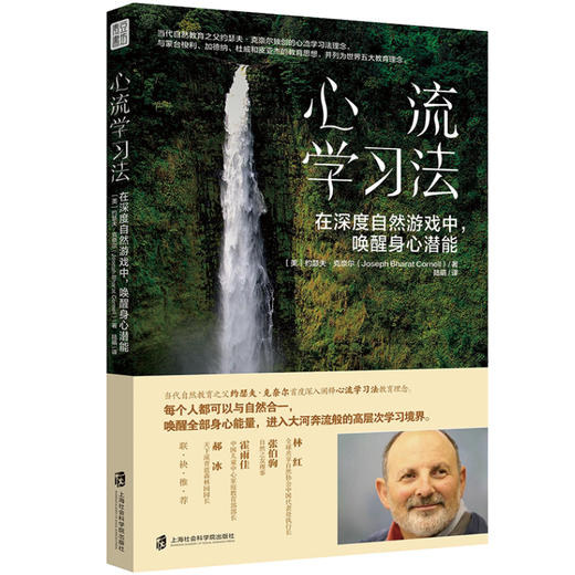 心流学习法：在深度自然游戏中，唤醒身心潜能 | 果妈阅读主题书单 商品图6