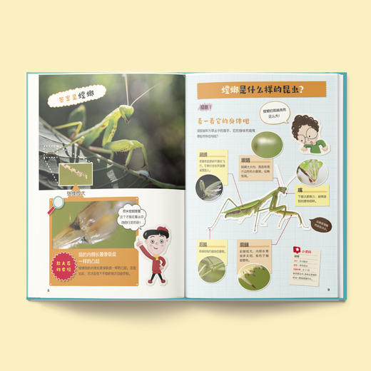 《微观世界放大看》（全5册） 商品图3