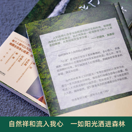 【图书】深度自然游戏+心流学习法 唤醒身心潜能自然合一能量家教 商品图6