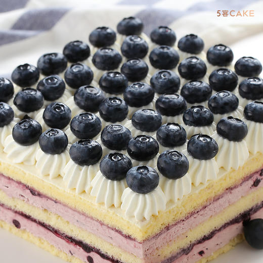 【蓝莓之夜】蓝莓酸奶 商品图3