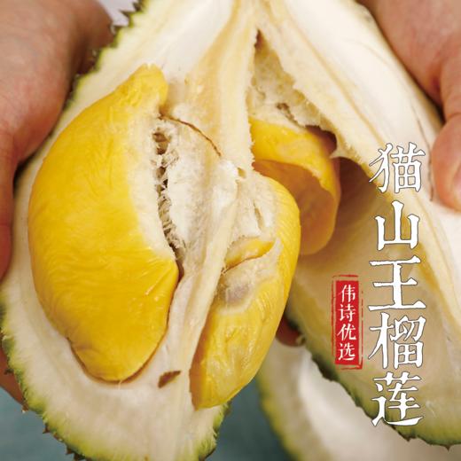 伟诗优选 | 猫山王榴莲 商品图3