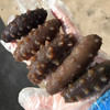 丨有机丨东宇有机海参 淡干海参 即食海参 速发海参 商品缩略图2