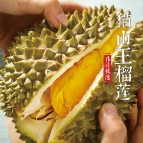 伟诗优选 | 猫山王榴莲